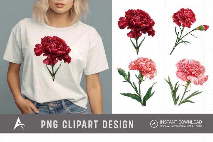 Carnation Illustration Image 23