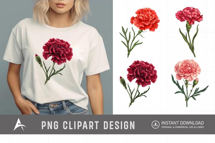 Watercolor Carnation Flower Clipart