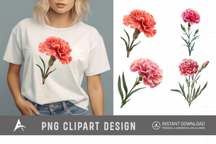 Carnation Illustration