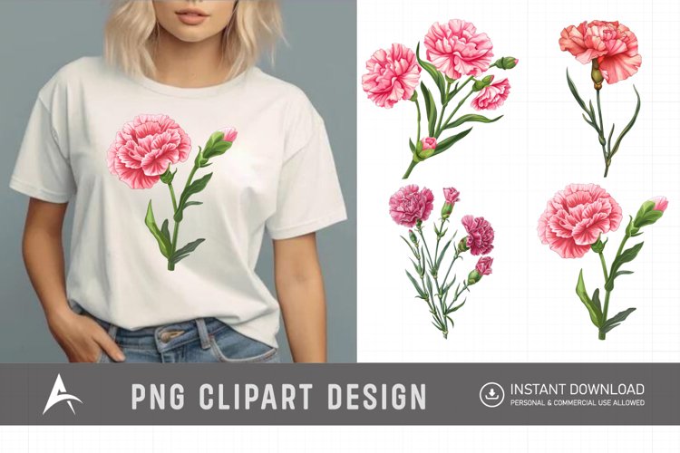Carnation Illustration Image 10