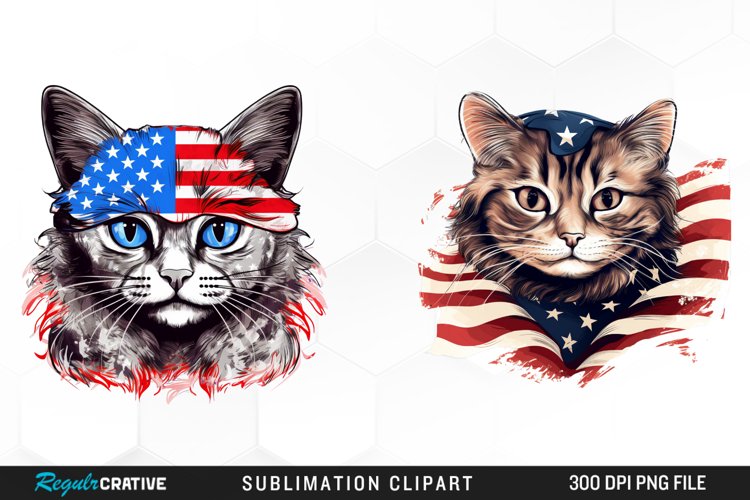 4th Of July Clipart Image 12