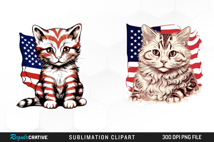 4th Of July Clipart Image 13
