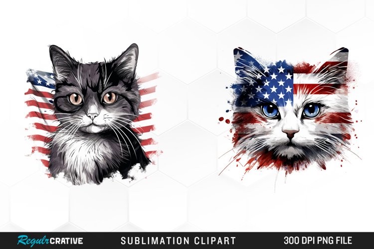 4th Of July Clipart Image 14