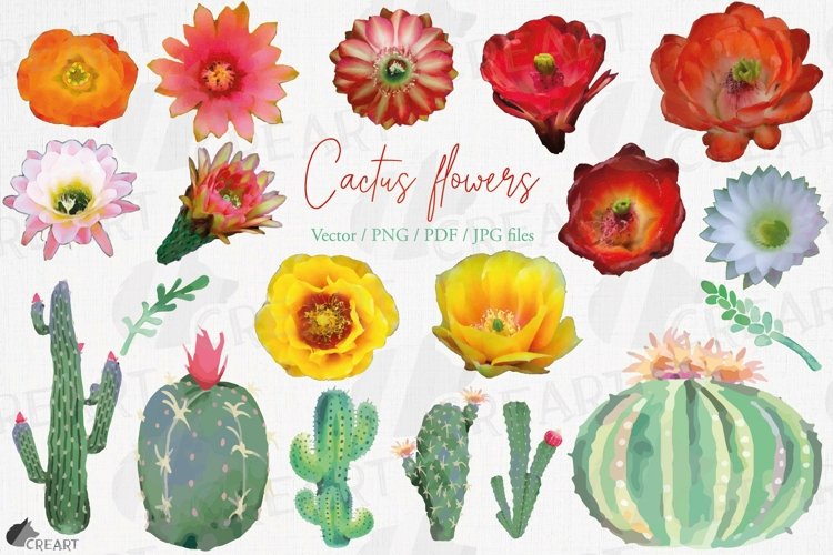 Watercolor Succulent Clipart Image 19