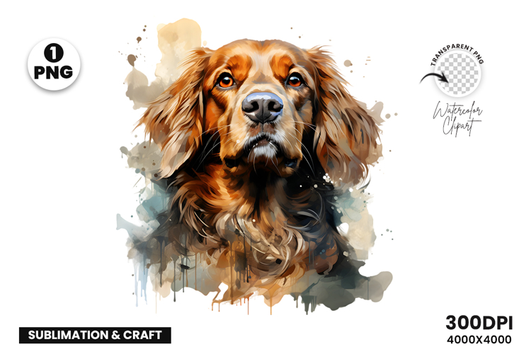 Watercolor Cavalier King Charles Spaniel Dog Clipart PNG