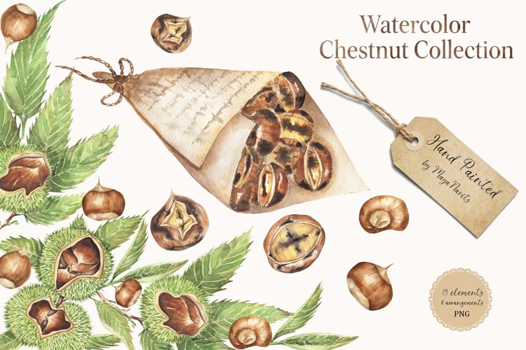 Watercolor Chestnut Set