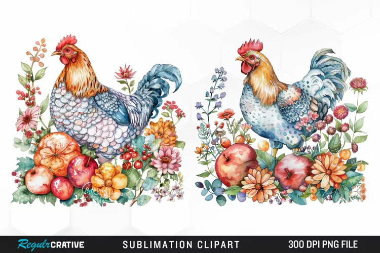 Watercolor Chicken Graphic Clipart