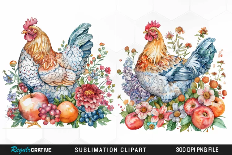Watercolor Chicken Sublimation PNG Clipart