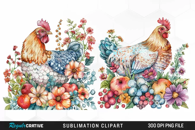 Watercolor Chicken Graphic Clipart