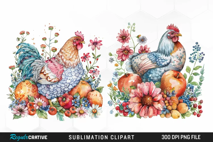 Watercolor Chicken Graphic Clipart
