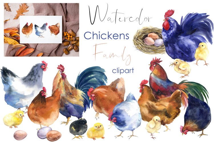 Watercolor farm family chickens, Easter clipart Scrapbooking