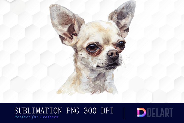 Chihuahua Clipart Image 12