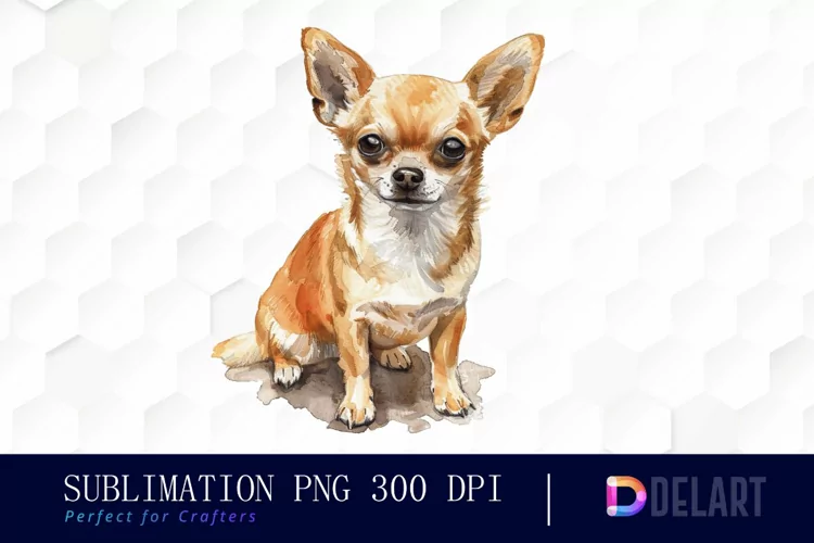 Chihuahua Illustration Clipart