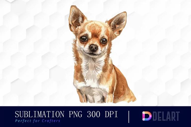 Chihuahua Watercolor Clipart