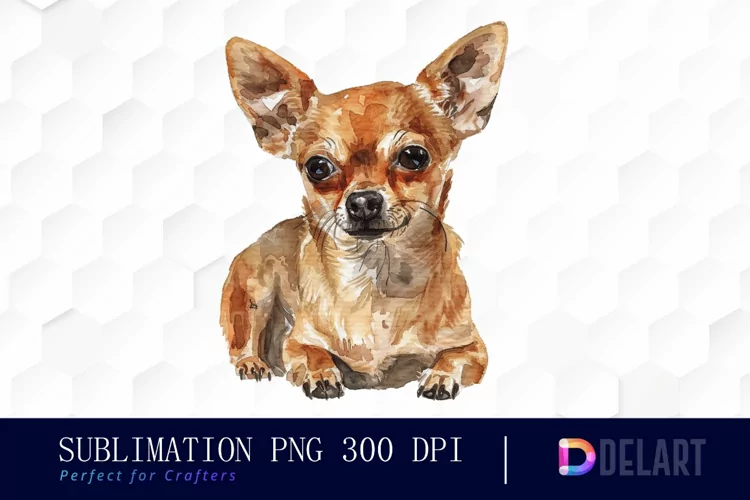 Chihuahua Illustration Clipart