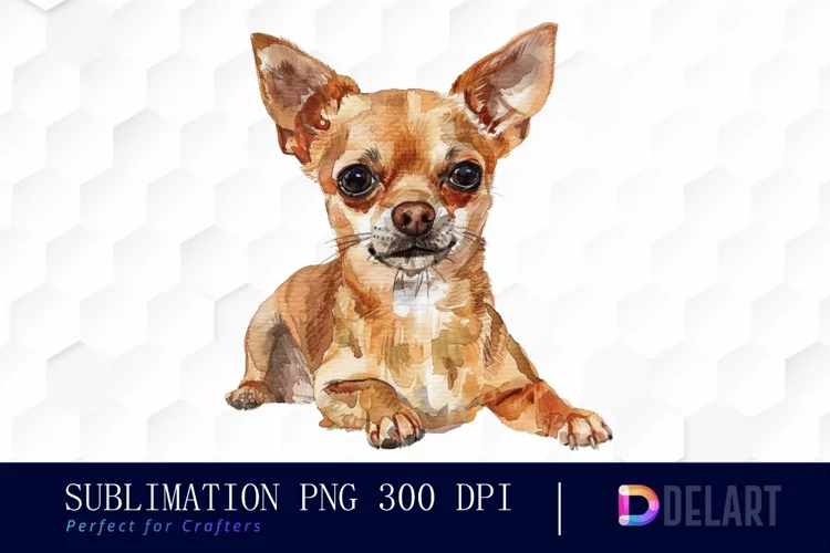Chihuahua Illustration Clipart