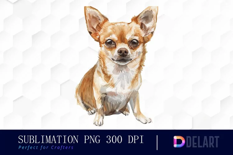 Chihuahua Illustration Clipart