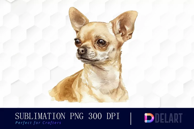 Chihuahua Illustration Clipart