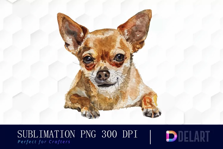 Chihuahua Watercolor Clipart