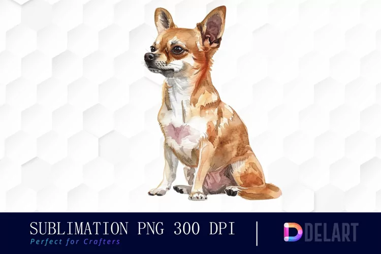 Chihuahua Illustration Clipart