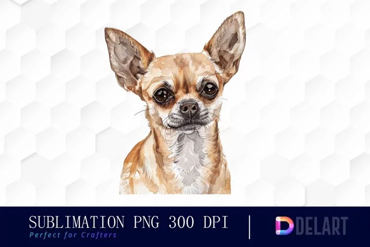 Chihuahua Watercolor Clipart