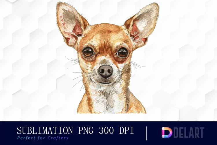Chihuahua Sublimation PNG Clipart