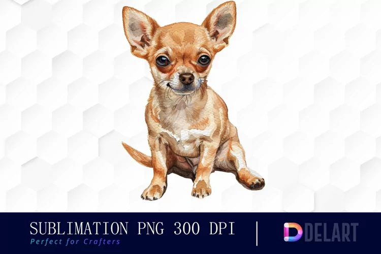 Chihuahua Illustration Clipart