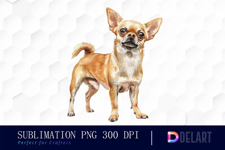 Chihuahua Illustration Clipart