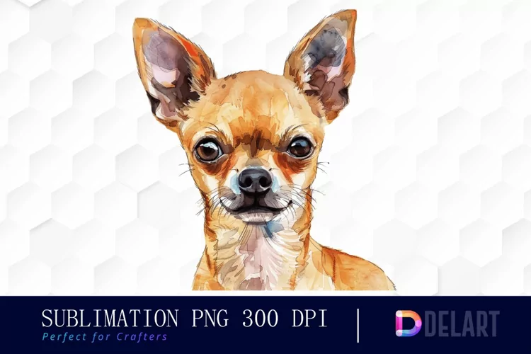 Chihuahua Sublimation PNG Clipart