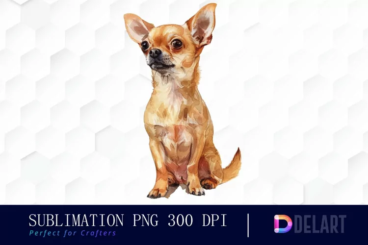Chihuahua Illustration Clipart