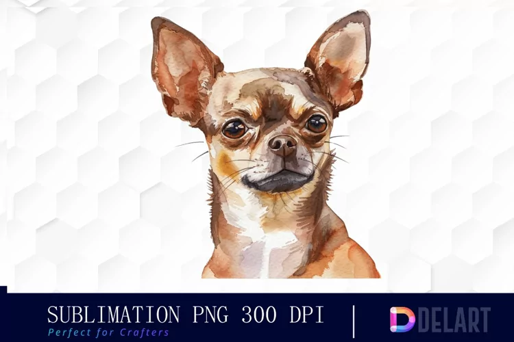 Chihuahua Sublimation PNG Clipart
