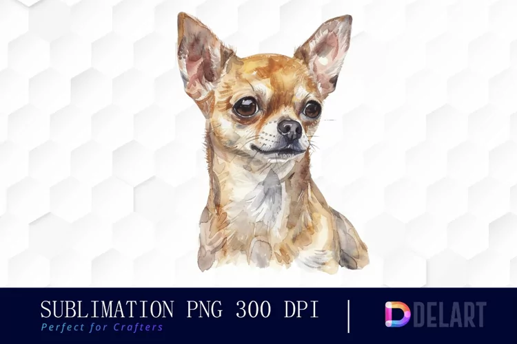 Chihuahua Sublimation PNG Clipart