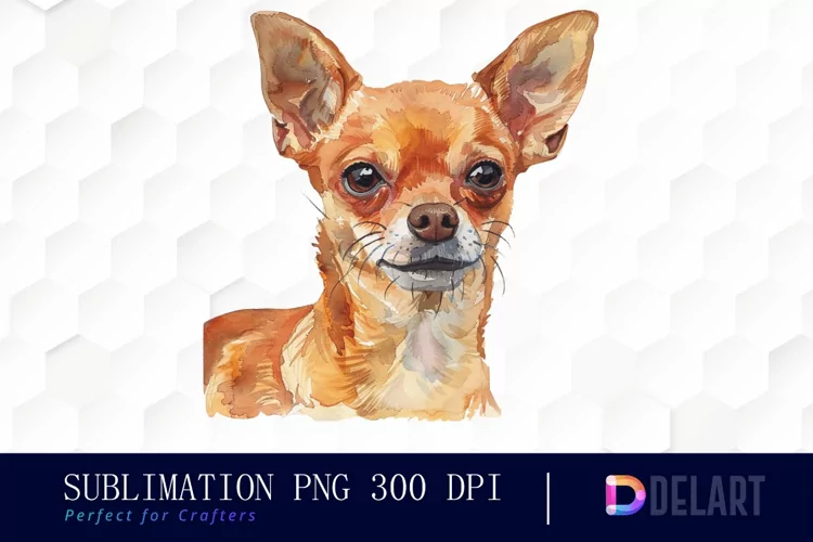 Chihuahua Sublimation PNG Clipart
