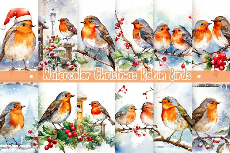 Robin Clipart Image 16