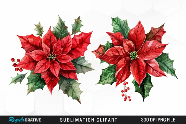 Watercolor Christmas Flower Image Clipart