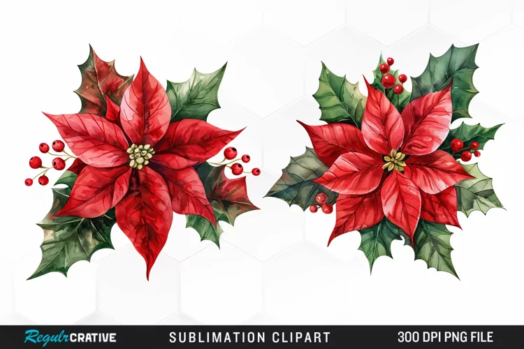 Watercolor Christmas Flower Image Clipart