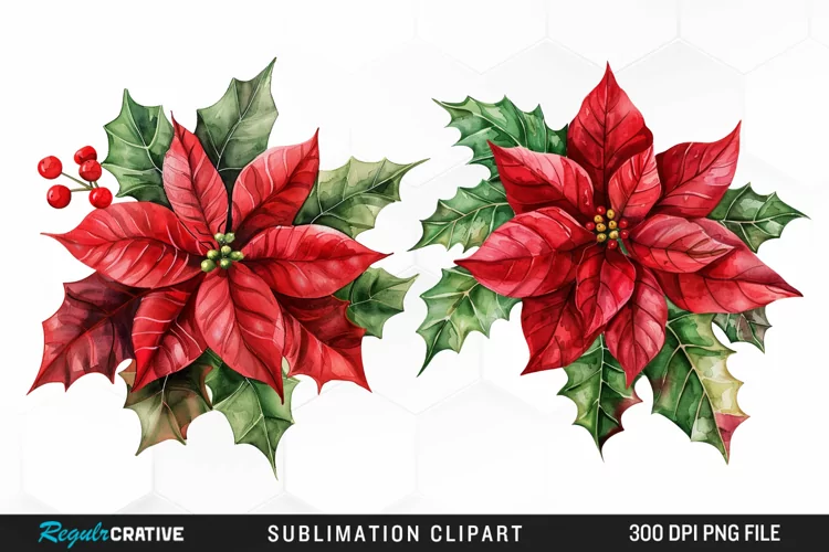 Watercolor Christmas Flower Image Clipart