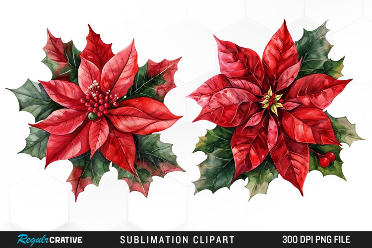 Watercolor Christmas Flower Set Clipart