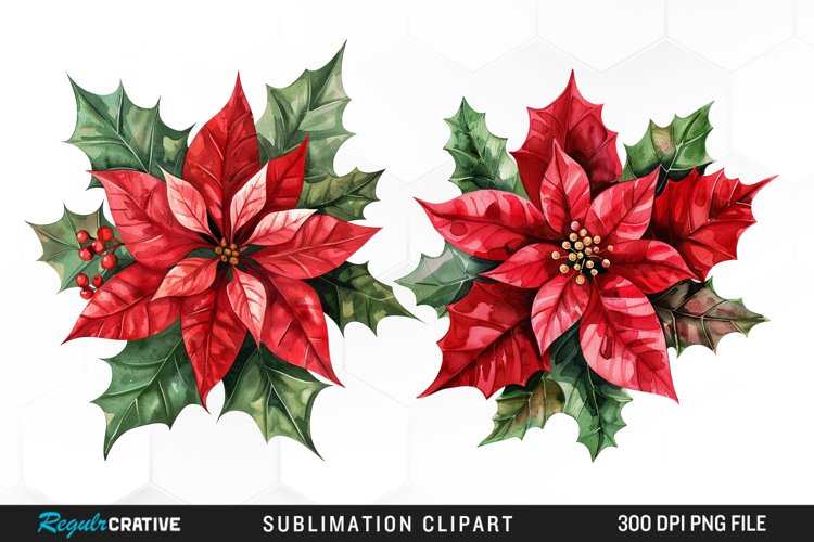 Watercolor Christmas Flower Image Clipart