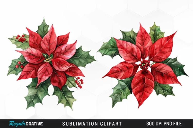 Watercolor Christmas Flower Image Clipart