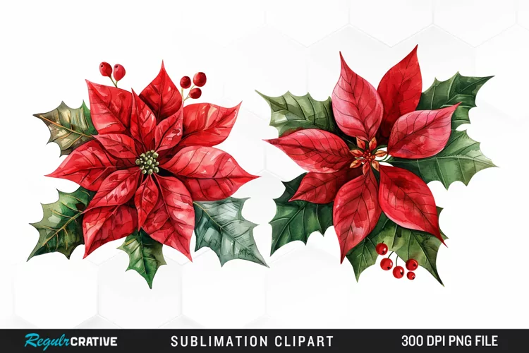 Watercolor Christmas Flower Image Clipart