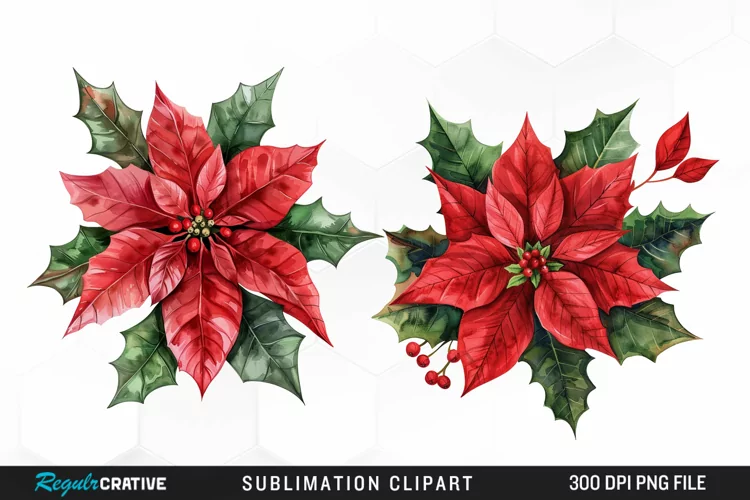 Watercolor Christmas Flower Image Clipart