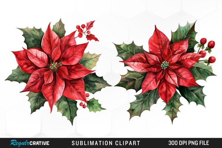 Watercolor Christmas Flower Set Clipart