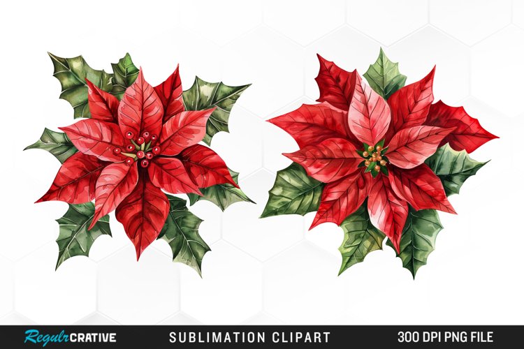 Watercolor Christmas Flower Set Clipart