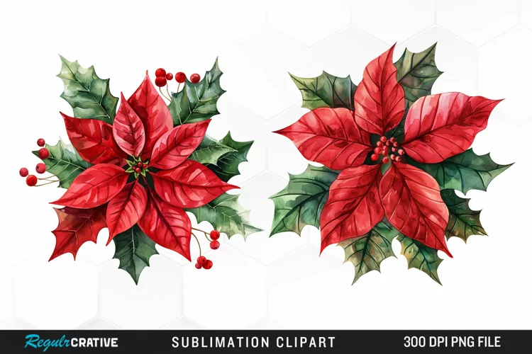 Watercolor Christmas Flower Image Clipart