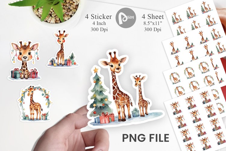 Giraffe Png Image 13