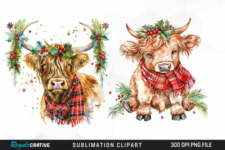 Watercolor Christmas Highland Cow Illustration Clipart