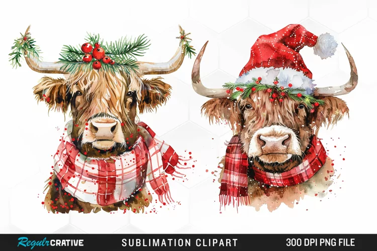Watercolor Christmas Highland Cow Illustration Clipart