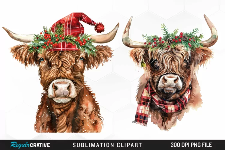 Watercolor Christmas Highland Cow Illustration Clipart
