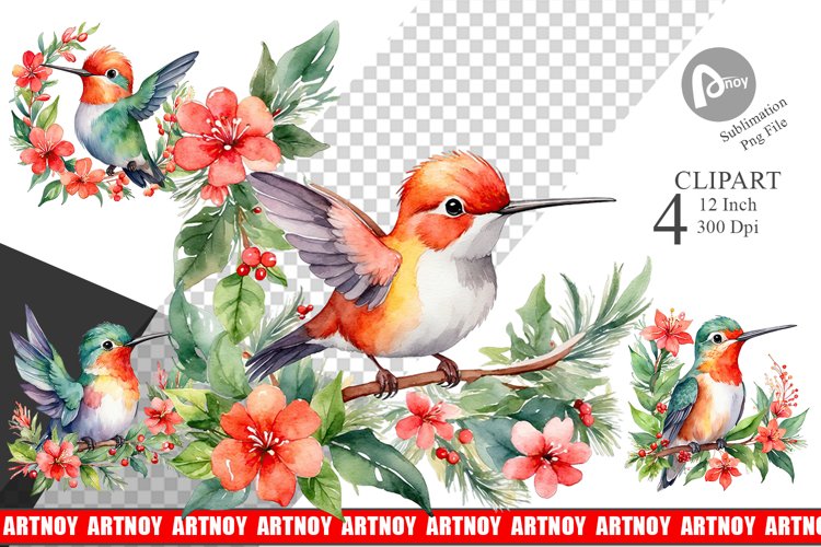 Hummingbird Png Image 5